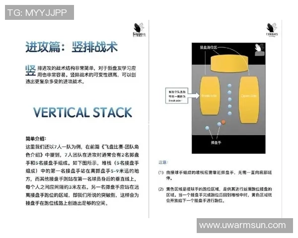 广州飞盘队的战术分析与控制能力探讨