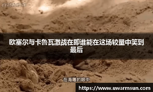 欧塞尔与卡鲁瓦激战在即谁能在这场较量中笑到最后